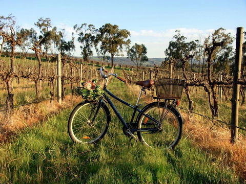 Lost In The Vines - Accommodation in Surfers Paradise 17