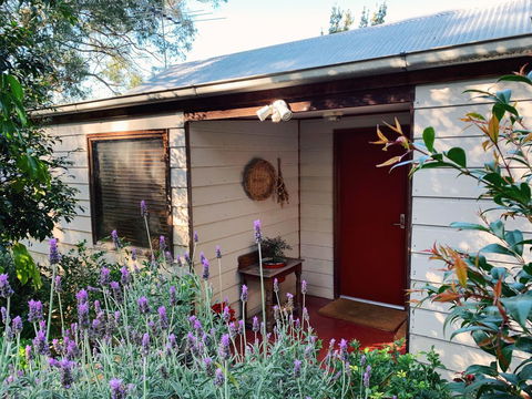 Lost In The Vines - Accommodation in Surfers Paradise 13