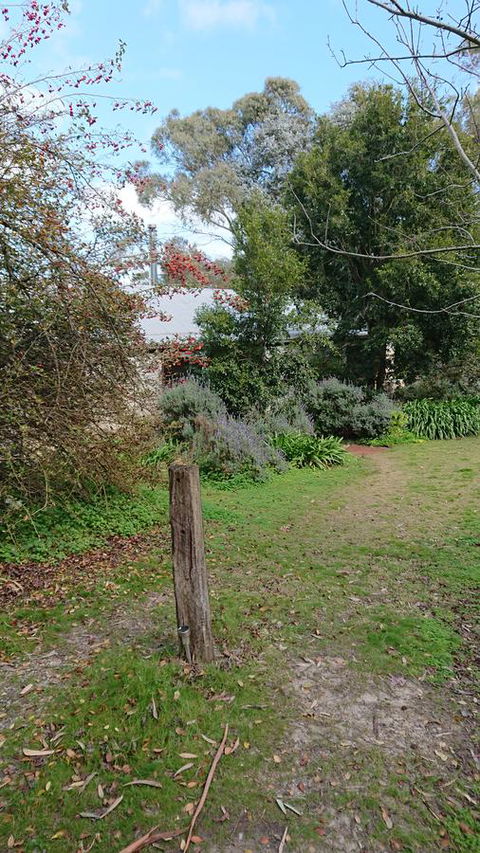 Lost In The Vines - Accommodation in Surfers Paradise 21