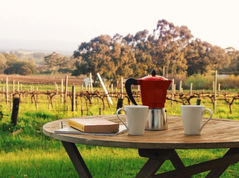 Lost In The Vines - Accommodation in Surfers Paradise 1