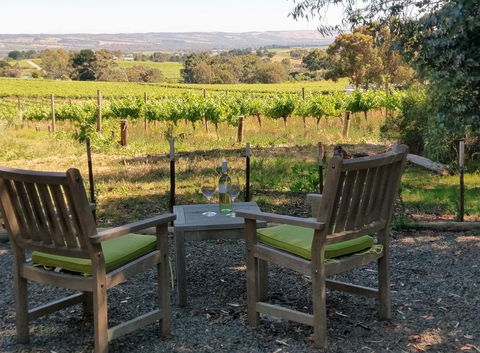 Lost In The Vines - Accommodation in Surfers Paradise 23