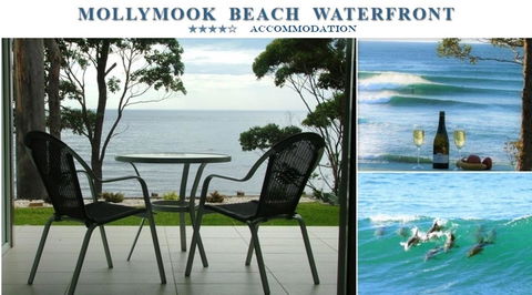 Mollymook Beach Waterfront - Accommodation in Surfers Paradise 1