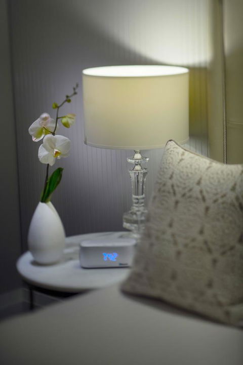 Mayfair Hotel - Accommodation in Surfers Paradise 13