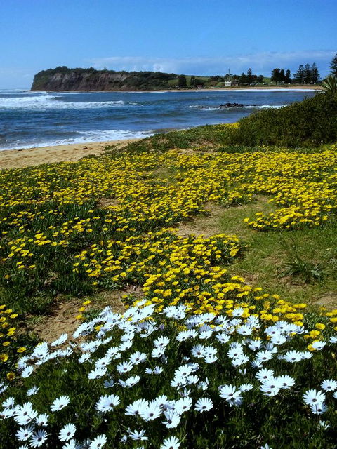 Serenity On Narrabeen Beach - 1Bdr Beachside Retreat - Accommodation in Surfers Paradise 10