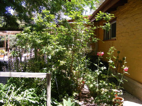 Trevalia Accommodation - Accommodation in Surfers Paradise 7