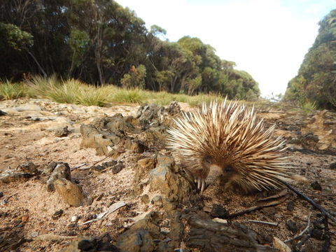 Kangaroo Island Wilderness Retreat - Accommodation in Surfers Paradise 20