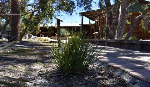 Kangaroo Island Wilderness Retreat - Accommodation in Surfers Paradise 21