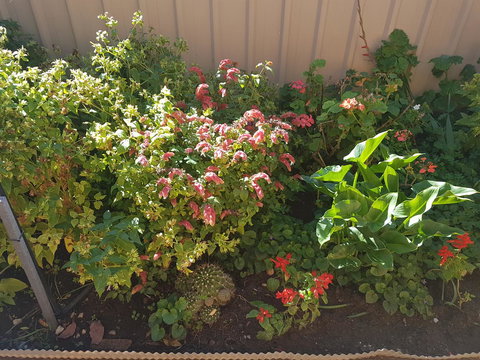 Tanunda\'s Magpie House - Accommodation in Surfers Paradise 24