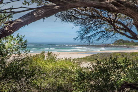 BIG4 Tasman Holiday Parks - Racecourse Beach - Accommodation in Surfers Paradise 7