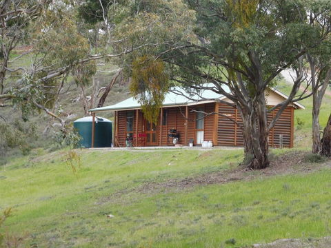 Molly's Chase - Accommodation in Surfers Paradise 16