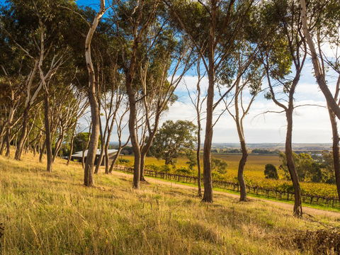 Shadow Creek McLaren Vale - Accommodation in Surfers Paradise 5