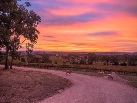 Shadow Creek McLaren Vale - Accommodation in Surfers Paradise 24