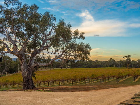 Shadow Creek McLaren Vale - Accommodation in Surfers Paradise 23
