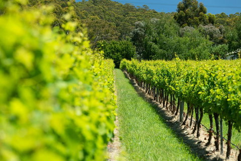 The Other House - Accommodation in Surfers Paradise 2