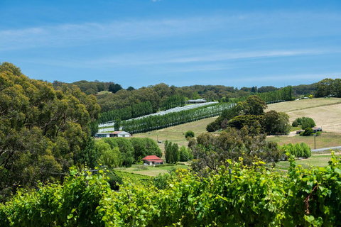 The Other House - Accommodation in Surfers Paradise 3