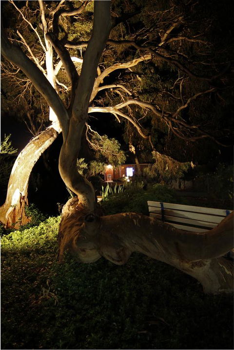 Cape Jervis Holiday Units - Accommodation in Surfers Paradise 14