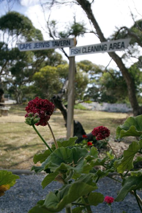 Cape Jervis Holiday Units - Accommodation in Surfers Paradise 13