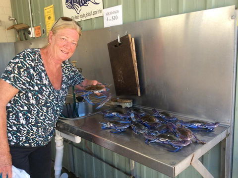 Ceduna Foreshore Caravan Park - Accommodation in Surfers Paradise 28