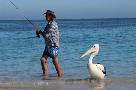 Ceduna Foreshore Caravan Park - Accommodation in Surfers Paradise 21