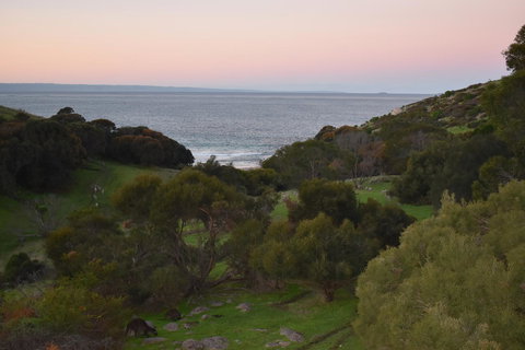 Sea Dragon Kangaroo Island - Accommodation in Surfers Paradise 30