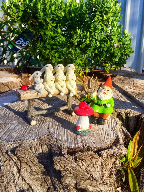 Inglenook Cottage - Accommodation in Surfers Paradise 34