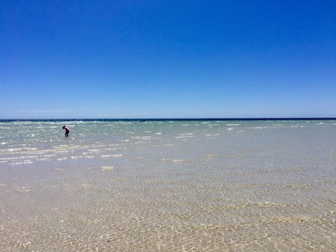 Inglenook Cottage - Accommodation in Surfers Paradise 37