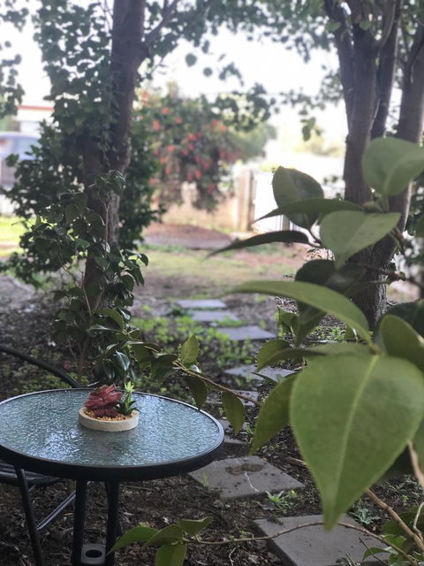 Olive\'s Cottage - Accommodation in Surfers Paradise 2