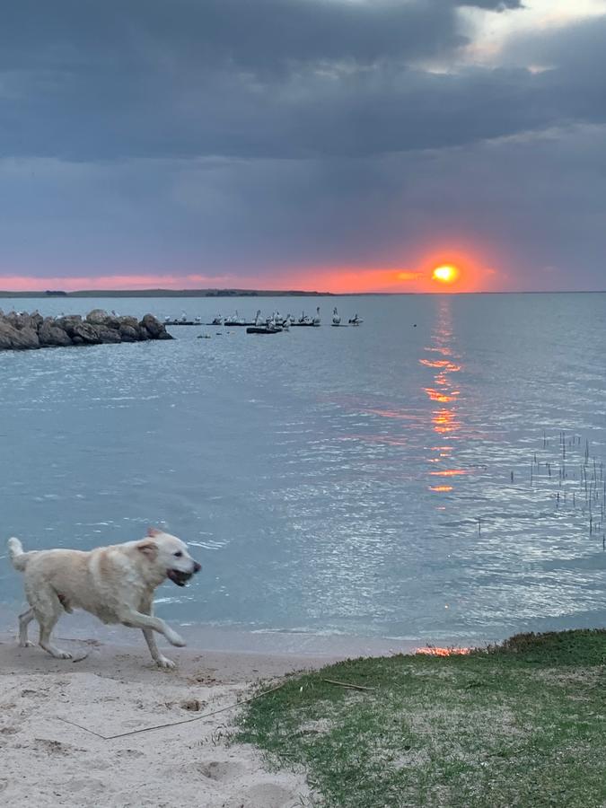 Meningie SA Accommodation in Surfers Paradise