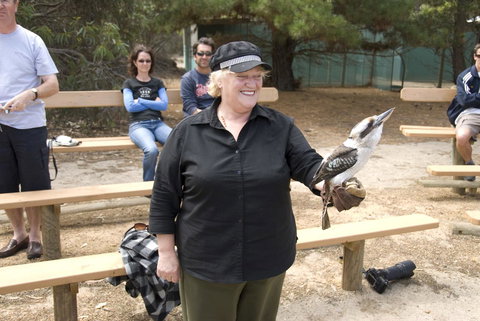 Acacia Apartments - Accommodation in Surfers Paradise 15