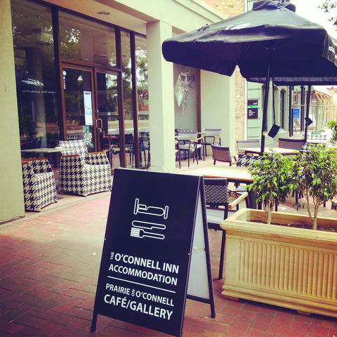 The O'Connell Inn - Accommodation in Surfers Paradise 11