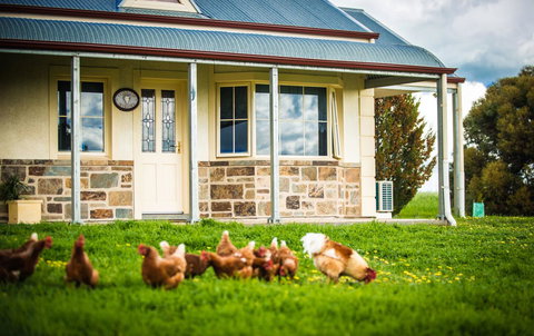 Barossa Vineyard Cottages - Accommodation in Surfers Paradise 40