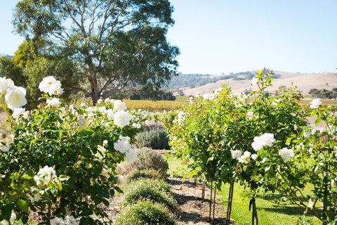 Barossa Vineyard Cottages - Accommodation in Surfers Paradise 1
