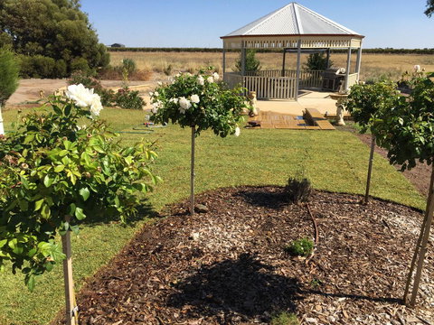 Barossa Vineyard Cottages - Accommodation in Surfers Paradise 43