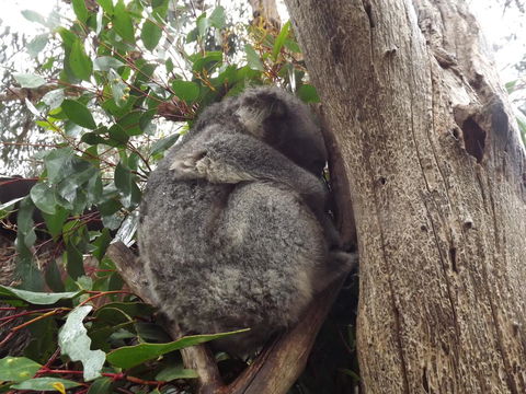 Home On Torrens - Accommodation in Surfers Paradise 32