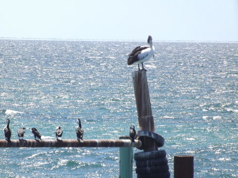 Home On Torrens - Accommodation in Surfers Paradise 10