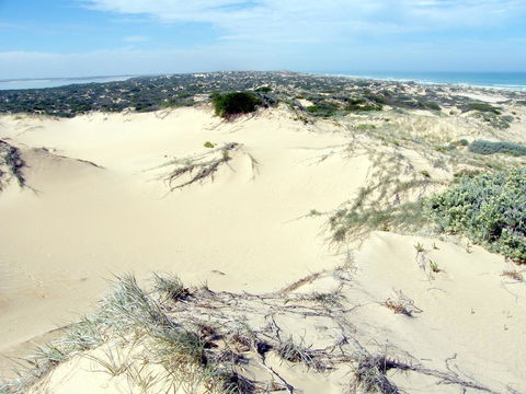Coorong Waterfront Retreat - Accommodation in Surfers Paradise 32