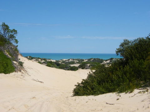 Coorong Waterfront Retreat - Accommodation in Surfers Paradise 23