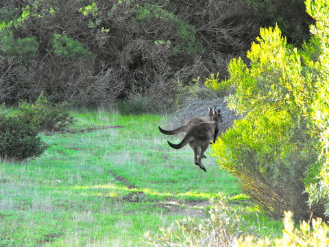 A Dune Escape - Accommodation in Surfers Paradise 25