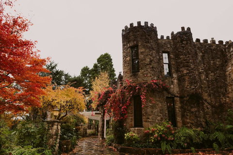 The Manor Basket Range - Accommodation in Surfers Paradise 15