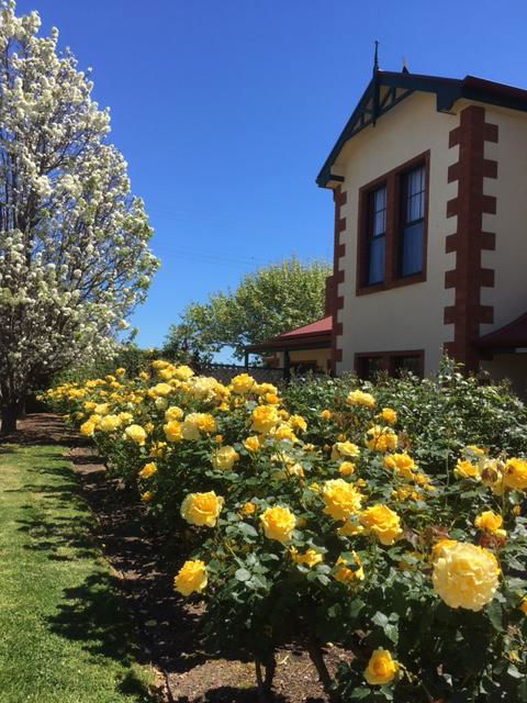 Wine And Roses Bed And Breakfast - Accommodation in Surfers Paradise 5