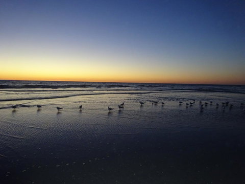 Selene Holiday Apartment @West Beach - Accommodation in Surfers Paradise 6