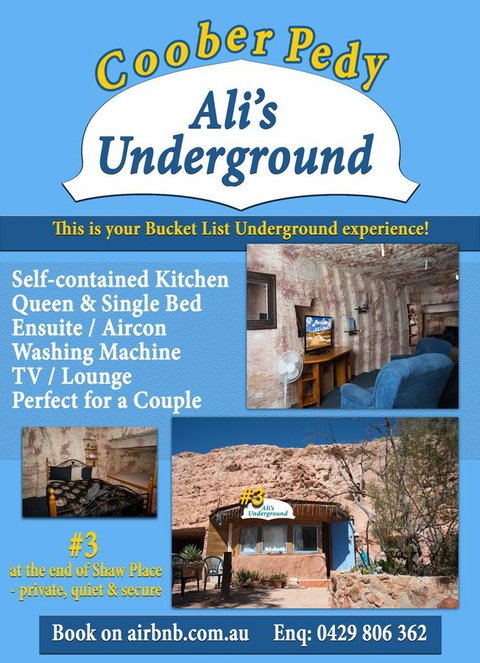 Ali\'s Underground Studio - Accommodation in Surfers Paradise 12