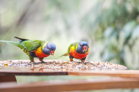 Smiths Lake House - Accommodation in Surfers Paradise 18