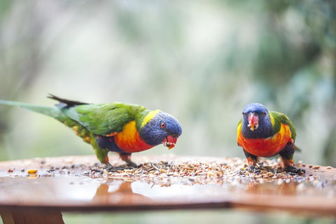 Smiths Lake House - Accommodation in Surfers Paradise 28