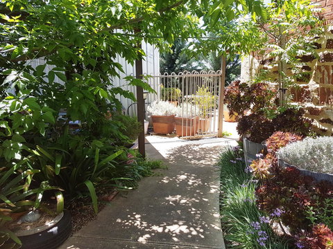 Little Para Cottage Tanunda - Accommodation in Surfers Paradise 12