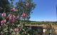 Amy\'s House Bed & Breakfast - thumb 29