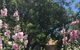 Amy\'s House Bed & Breakfast - thumb 37