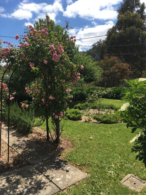 Hilltop Too - Accommodation in Surfers Paradise 13