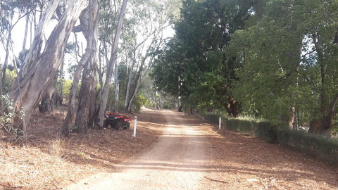 Taralee Orchards - Accommodation in Surfers Paradise 4