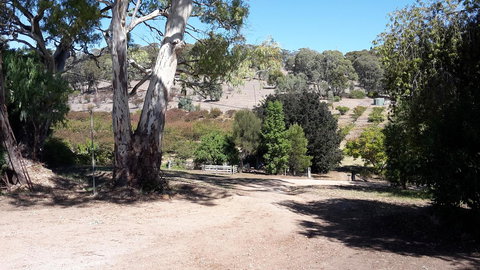 Taralee Orchards - Accommodation in Surfers Paradise 3